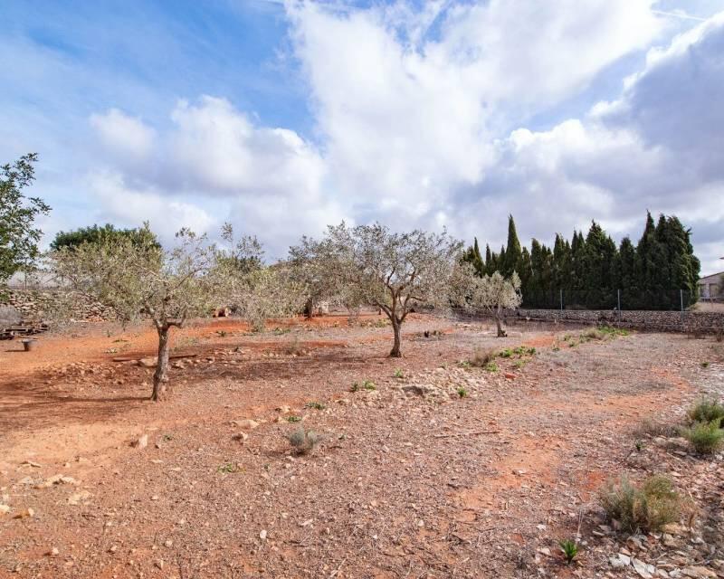 4 bedroom Country House for sale