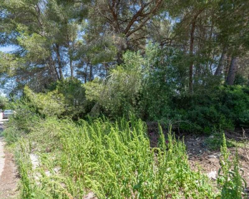 Land for sale in Javea, Alicante