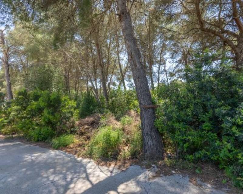 Land for sale