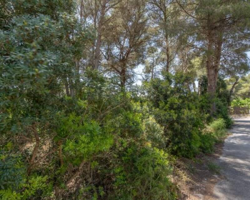 Land for sale