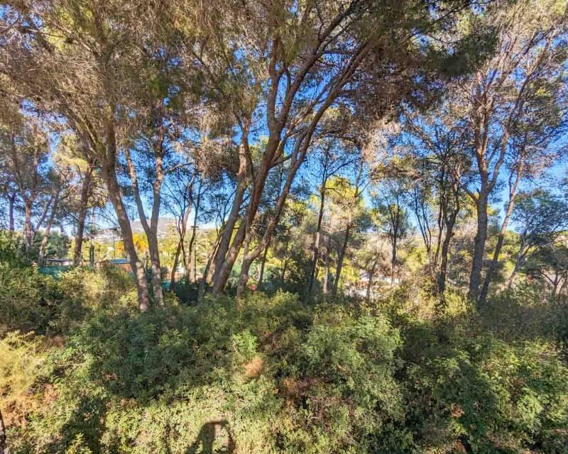 6 chambre Villa à vendre