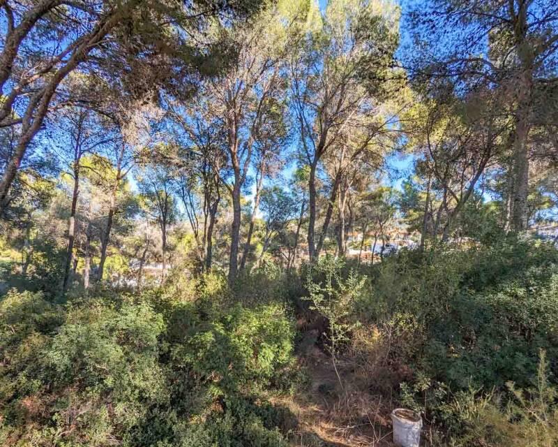 6 chambre Villa à vendre