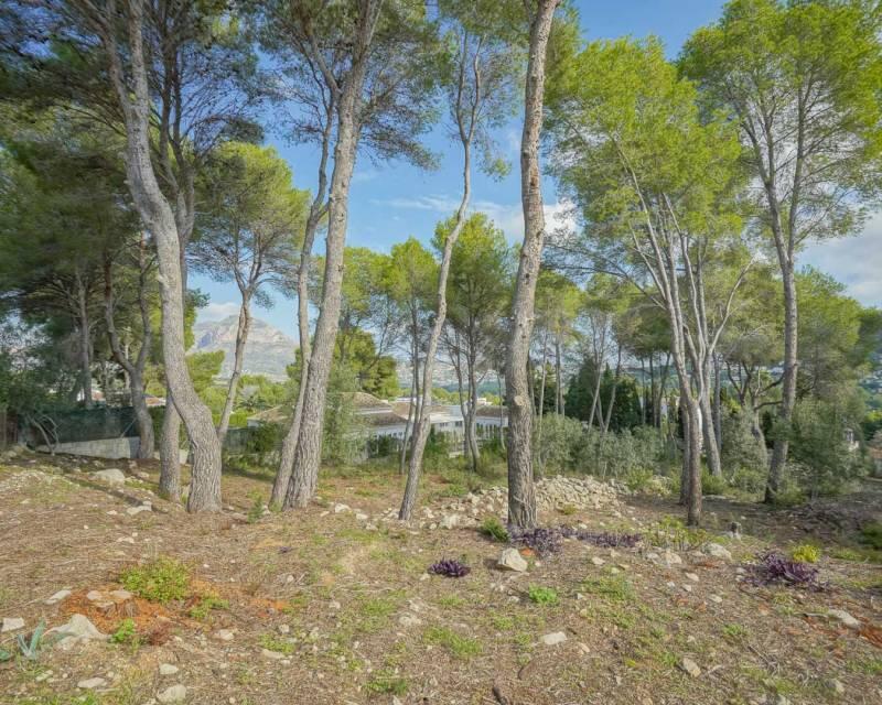 3 chambre Terrain à vendre 3 chambre Terrain à vendre