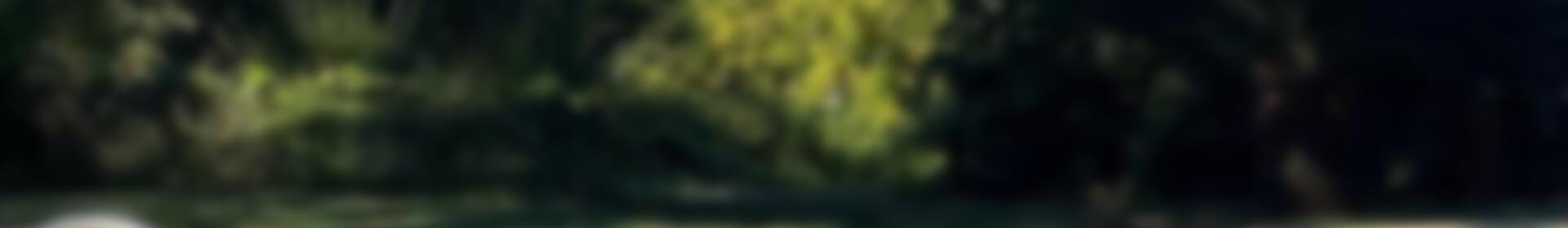 2 soverom Villa til salgs