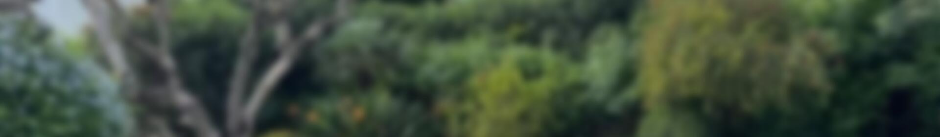 3 chambre Villa à vendre