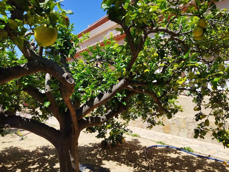 6 soverom Villa til salgs