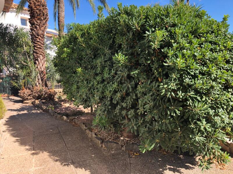 16 soverom Villa til salgs