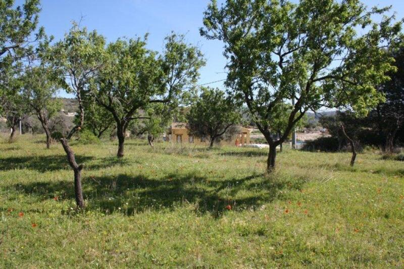 5 bedroom Villa for sale