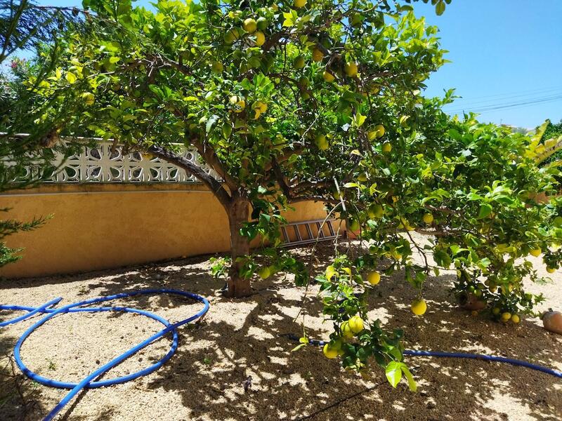 6 bedroom Villa for sale