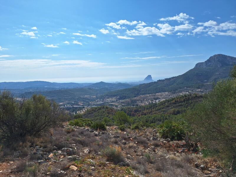 5 bedroom Country House for sale 5 bedroom Country House for sale