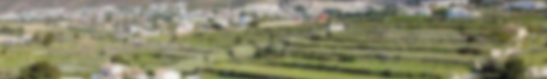 4 slaapkamer Villa Te koop