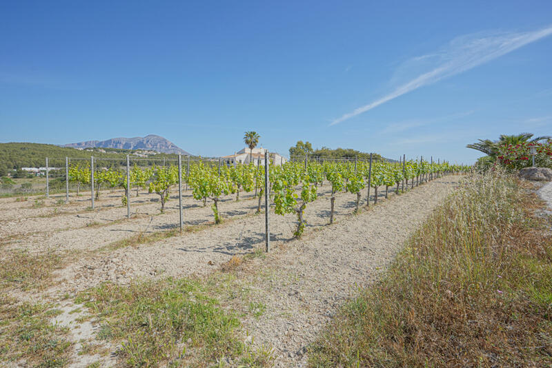 4 slaapkamer Villa Te koop