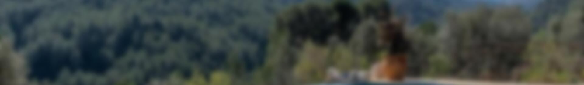 4 slaapkamer Villa Te koop