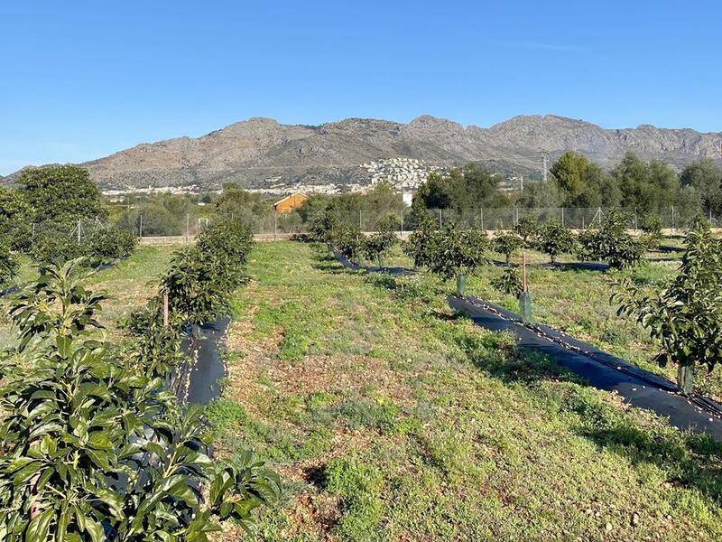 5 Schlafzimmer Villa zu verkaufen