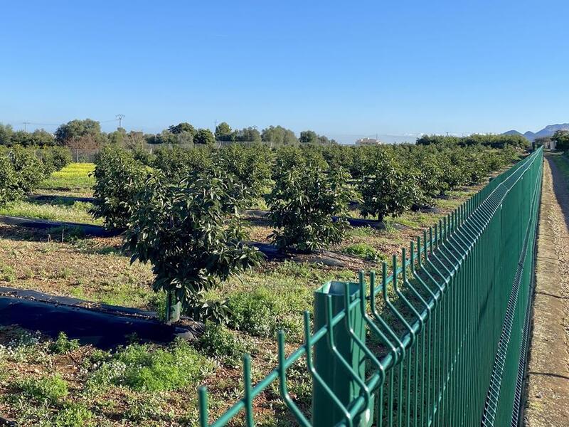 5 Schlafzimmer Villa zu verkaufen
