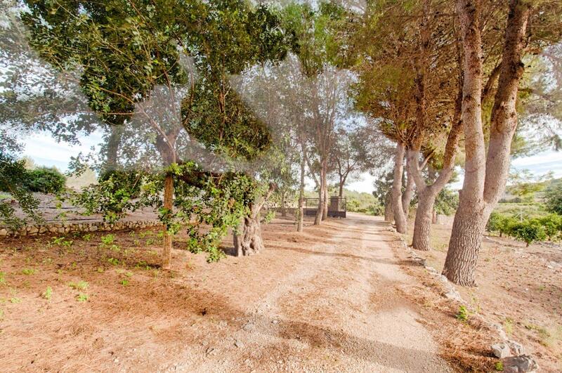 4 bedroom Country House for sale