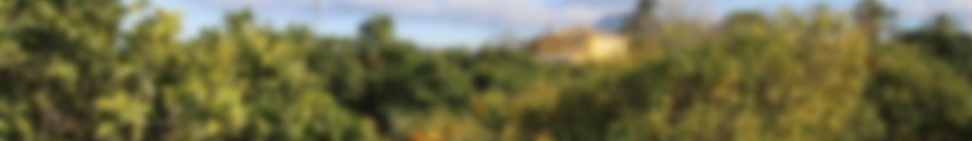 4 спальная комната вилла продается