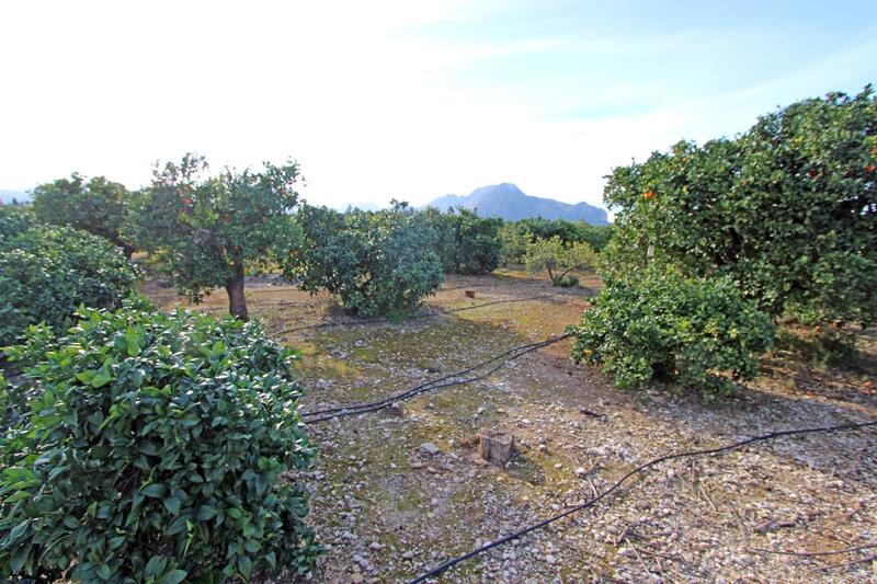 4 спальная комната вилла продается