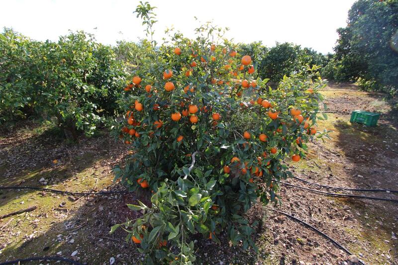 4 спальная комната вилла продается