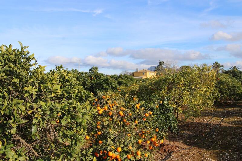 Villa til salg i Ondara, Alicante