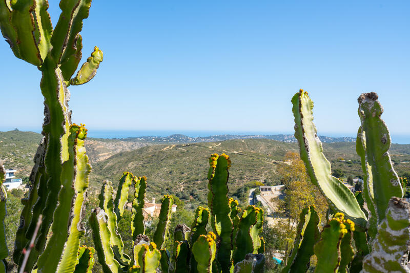 4 bedroom Villa for sale