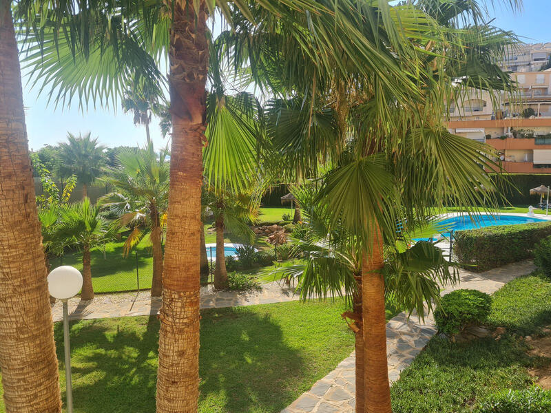 квартира в долгосрочную аренду в Benalmadena, Málaga