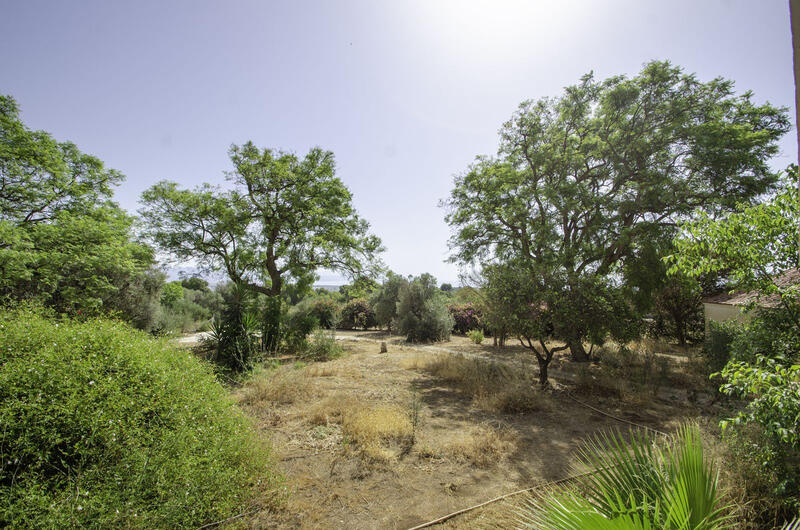 Terrain à vendre