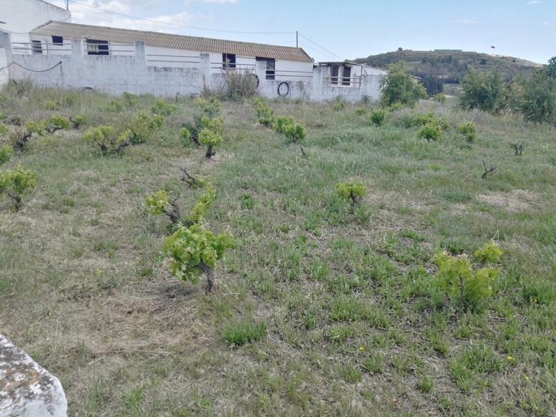 3 chambre Auberge à vendre