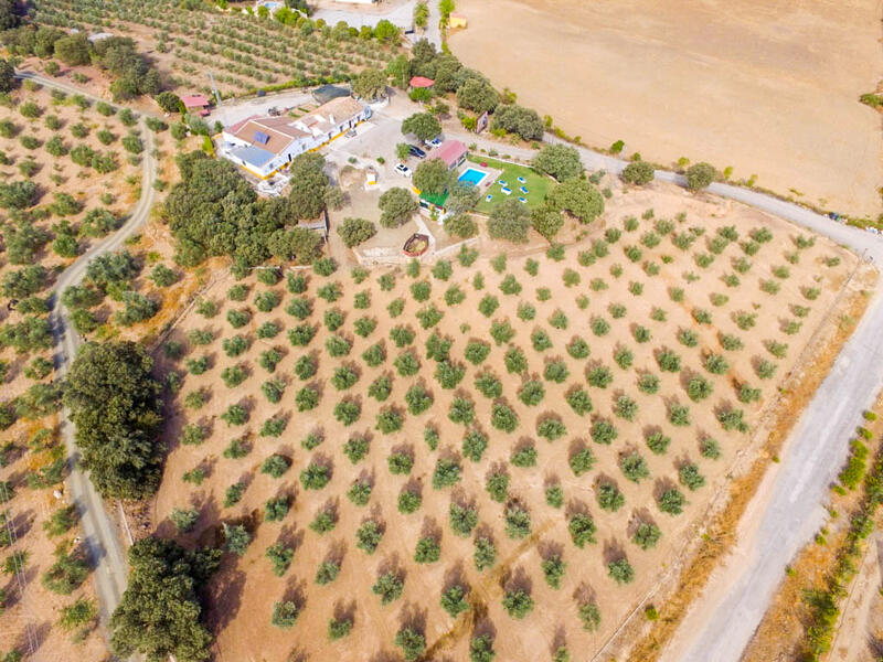 12 Cuarto Casa de Campo en venta