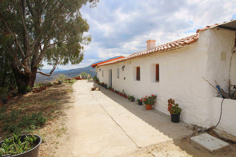 3 chambre Villa à vendre