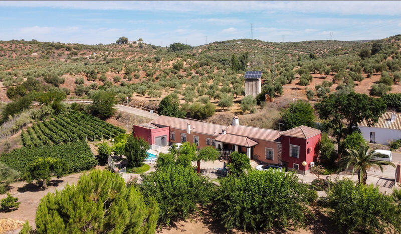 Lantställe till salu i Marmolejo, Jaén