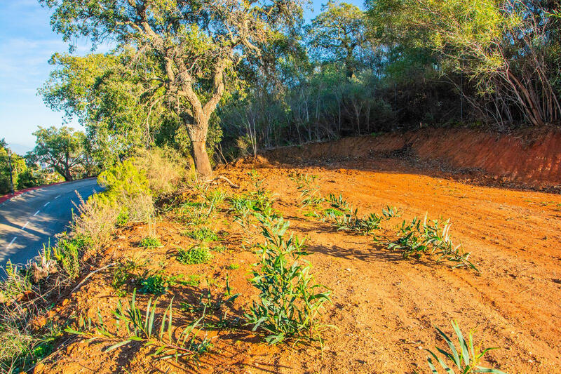 Terrenos en venta