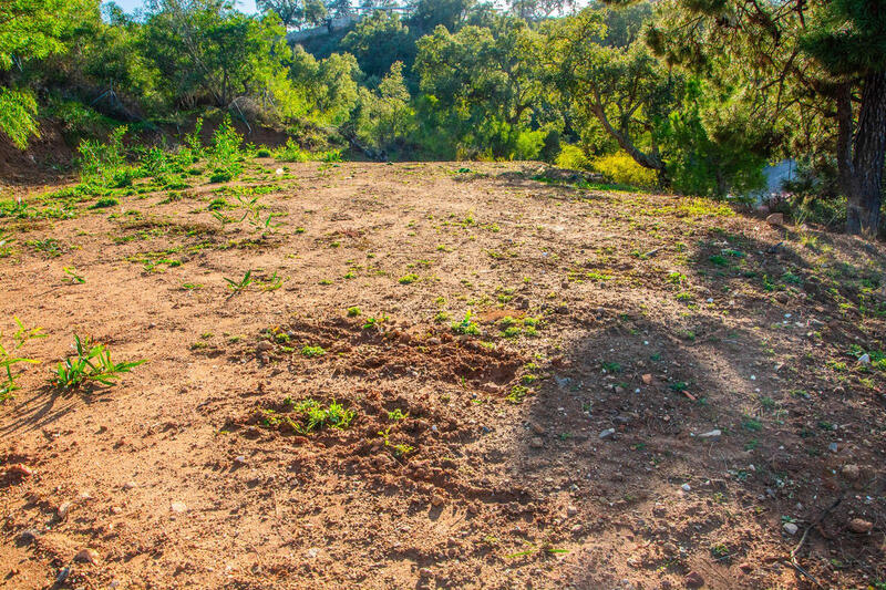 Terrenos en venta