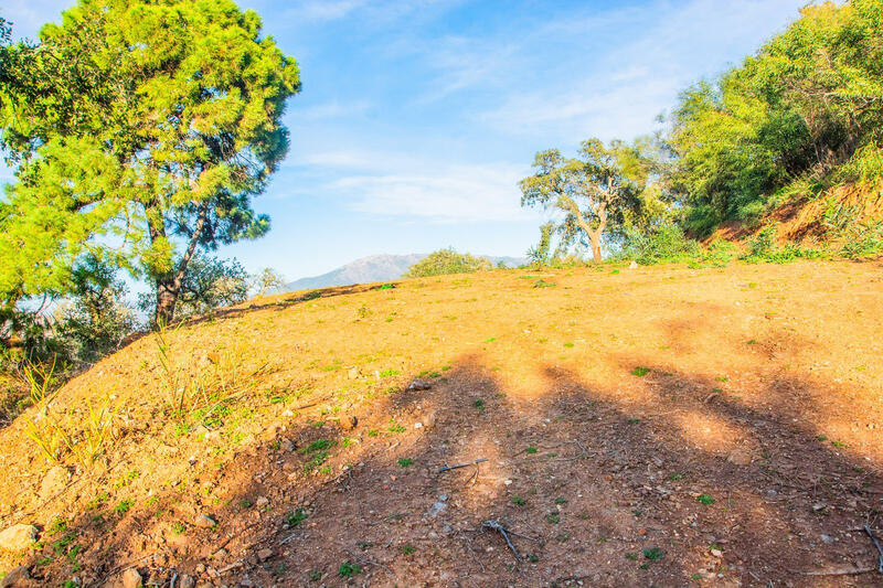 Terrenos en venta