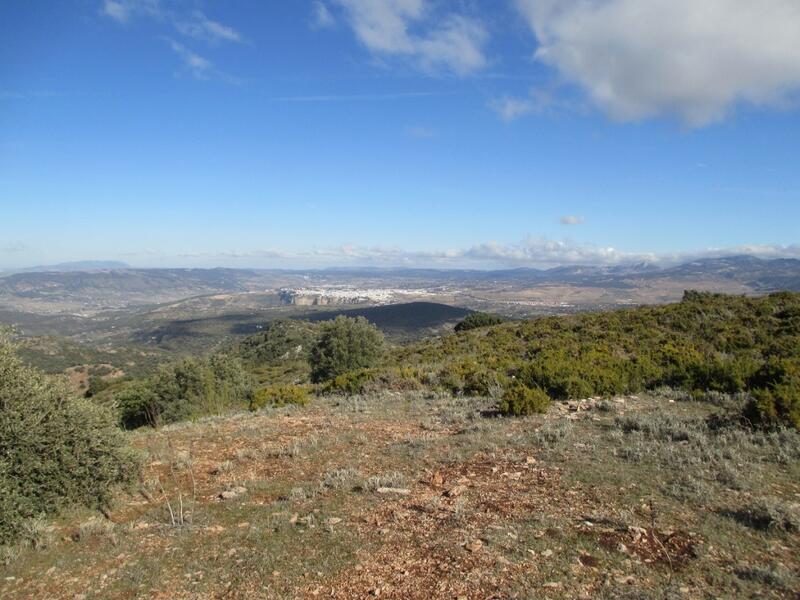 Land for sale in Ronda, Málaga
