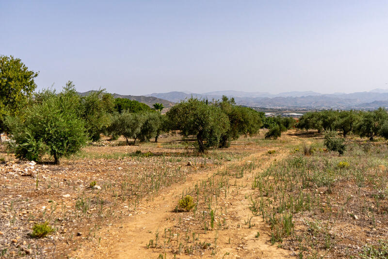 Land for sale in Alhaurin de la Torre, Málaga