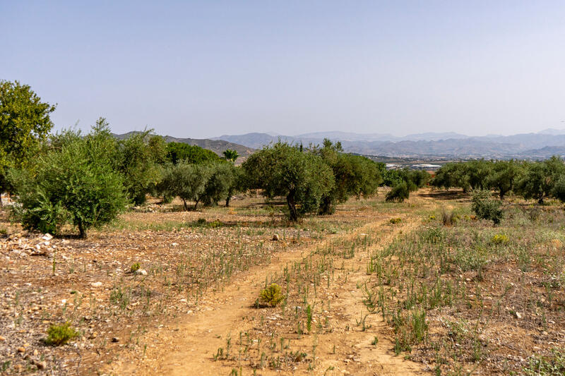 Terrain à vendre