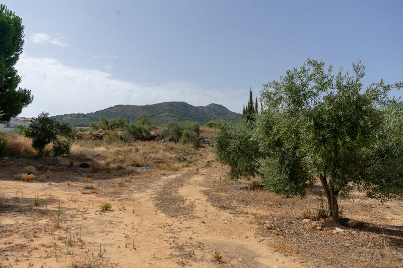 Terrain à vendre