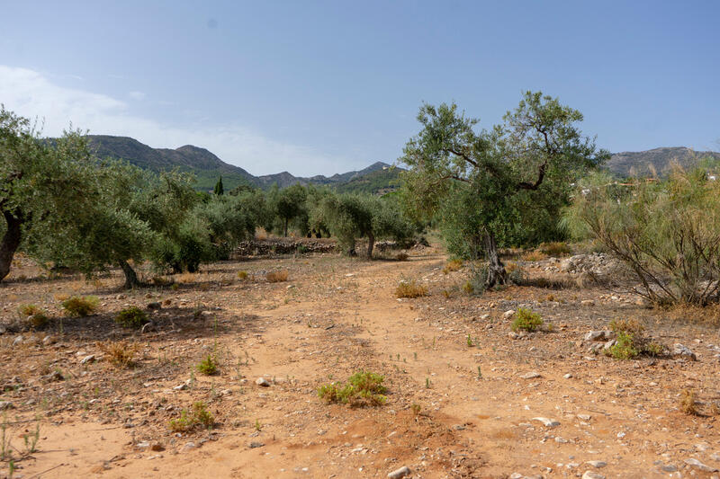 Terrain à vendre