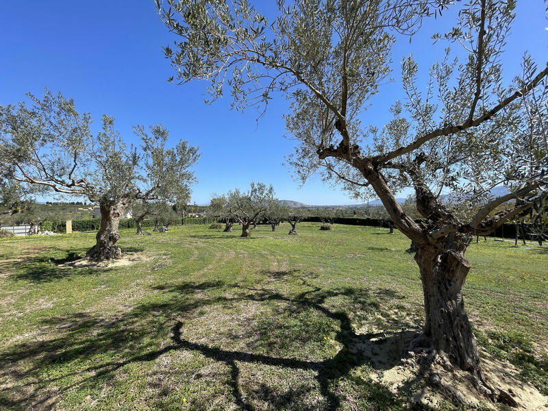 4 Cuarto Villa en venta