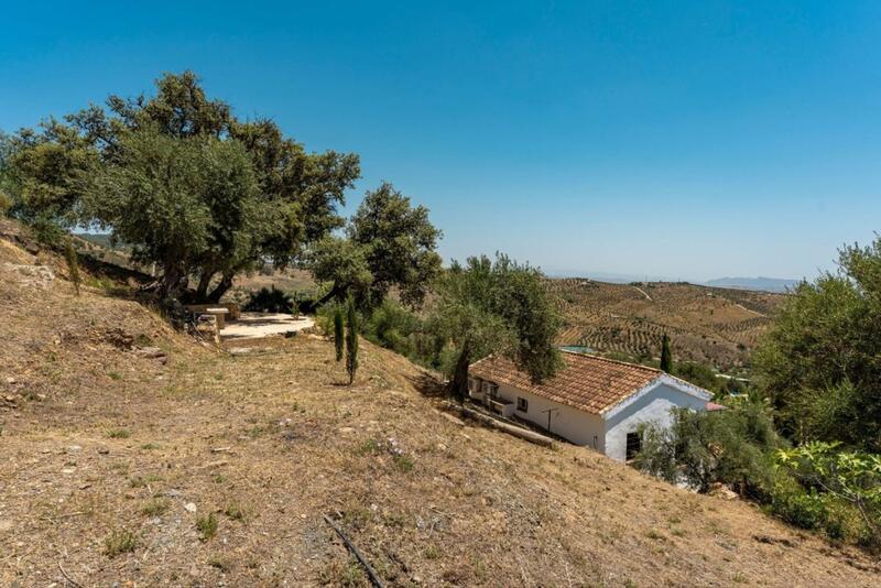 13 bedroom Villa for sale