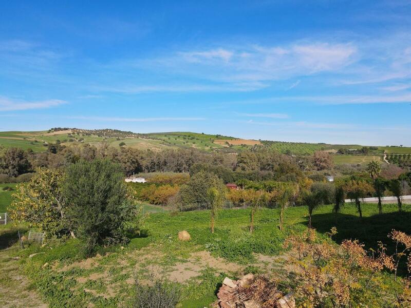 5 chambre Auberge à vendre