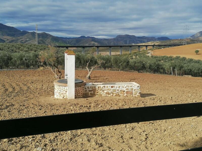 4 Cuarto Casa de Campo en venta