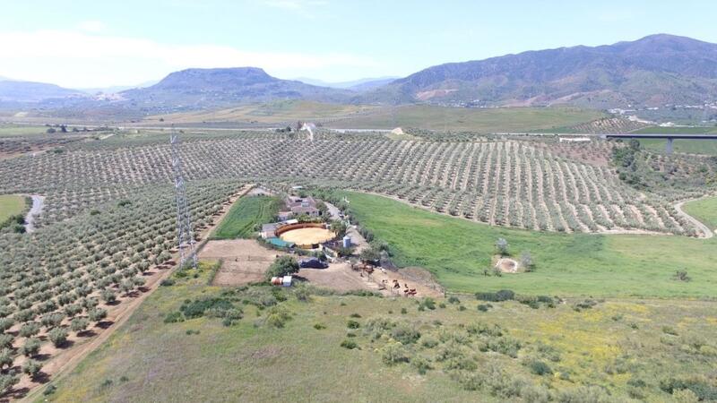 4 Cuarto Casa de Campo en venta
