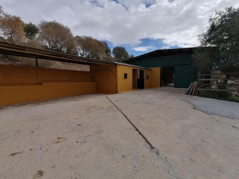 4 Cuarto Casa de Campo en venta
