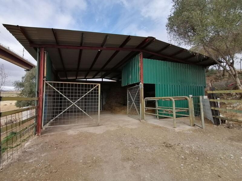 4 Cuarto Casa de Campo en venta