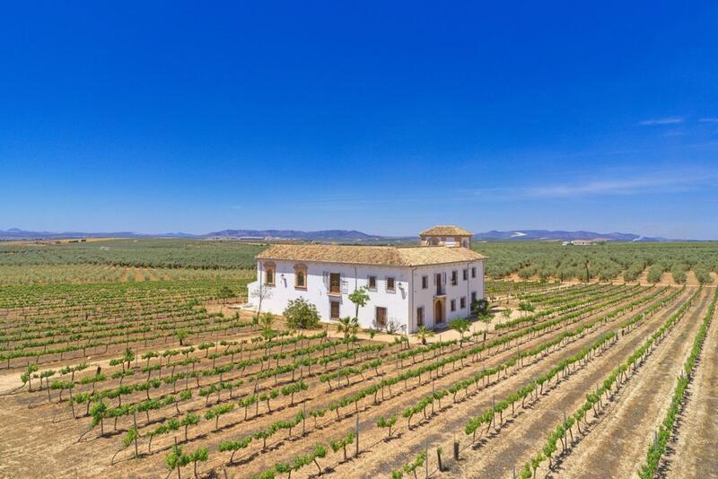 5 bedroom Country House for sale