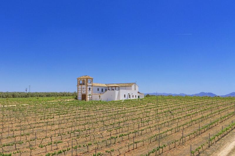 5 bedroom Country House for sale