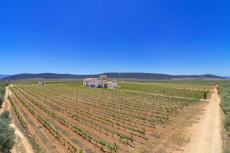 5 bedroom Country House for sale