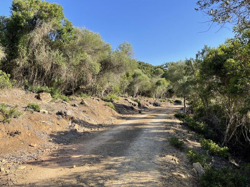 2 Cuarto Casa de Campo en venta